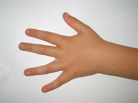 Gambar : jari, anak, manusia, lengan, kuku, kiri, kulit, adil, model tangan 2272x1704 ...