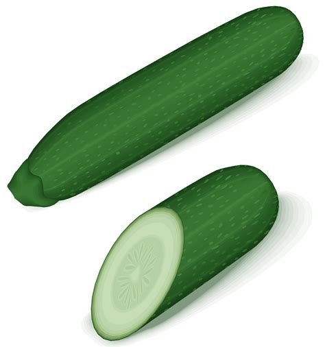 9,600+ Zucchini Illustrations, Royalty-Free Vector Graphics & Clip - Clip Art Library