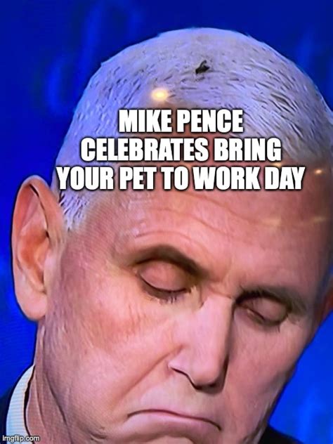 Pence Fly - Imgflip