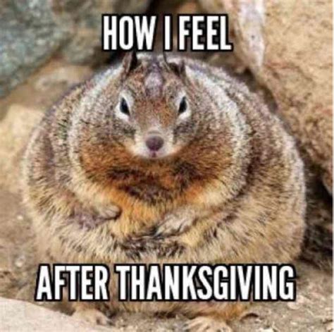 Funny Thanksgiving Memes That Make You Laugh Out Loud