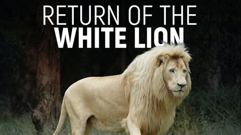 Return of the White Lion - Return of the White Lion - Lion Mountain TV