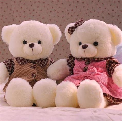 cute couple | Teddy bear pictures, Teddy bear images, Teddy bear wallpaper