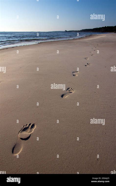 Footprints in Beach Sand Stock Photo - Alamy