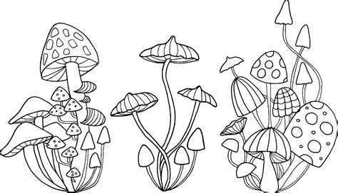 Mushrooms - color and outline | Mushroom drawing, Line art drawings, Art sketches