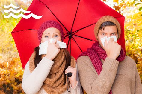 Tips to Stay Healthy During Cold & Flu Season