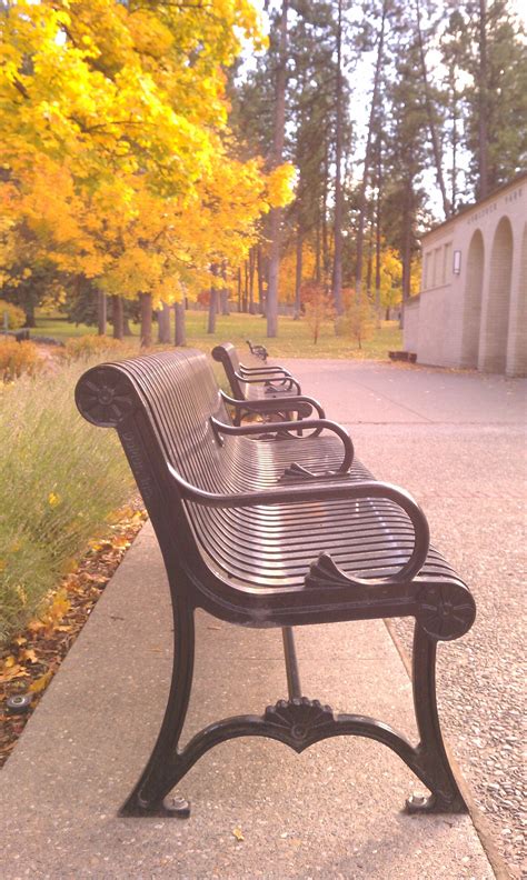 Park benches at Comstock | Garden paving, Garden bench, Park bench