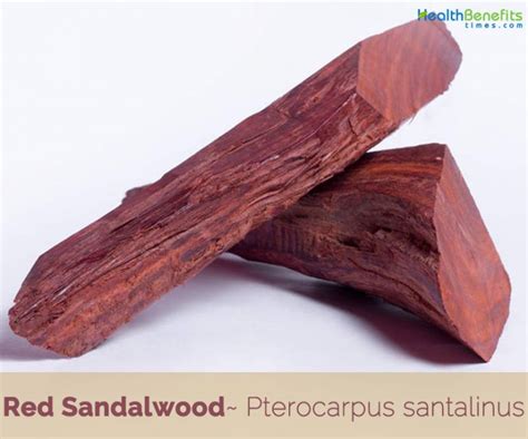 Red Sandalwood facts and health benefits