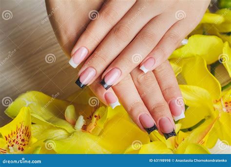 French Nail Art in Black and White Color Stock Photo - Image of finger, nail: 63198998