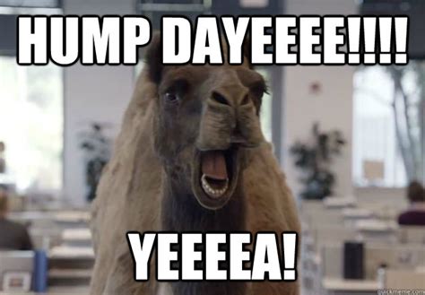 Guess what day it is? Tuesday. Go home you're drunk - Geico Camel Hump ...