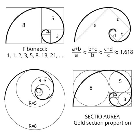 Golden Spiral Symbol | Sacred geometry art, Geometry art, Fibonacci art