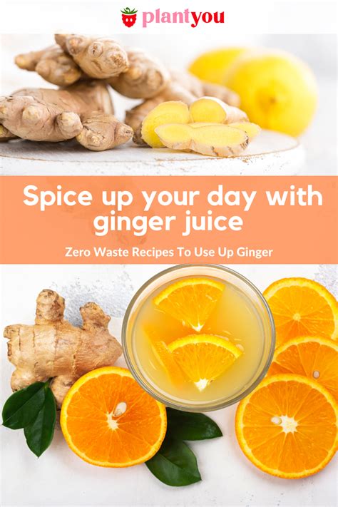 Ginger Juice, Tea and Spice (Zero Waste Recipes To Use Up Ginger ...