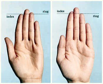 sexuality - Correlation between ring finger length and sexual preference - Skeptics Stack Exchange