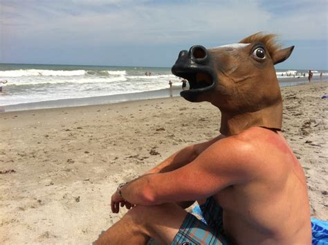 Behind Reddit's weird obsession with horse masks | Memes, Memes ...