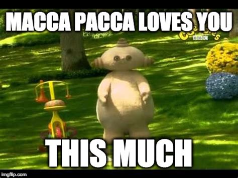 Image tagged in maca paca loves you - Imgflip