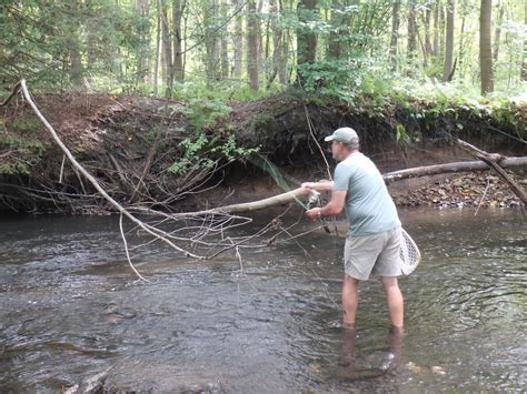 Little Schuylkill River – 09/05/2019 | Dave Weller's Fly Fishing Blog