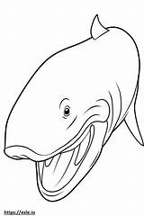 Blue Whale Face coloring Page sketch template