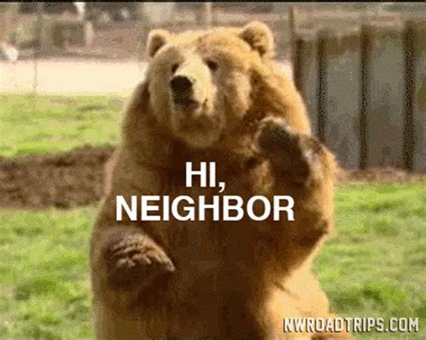 Actually knowing your neighbors again. | Good day gif, Bear gif, Bear