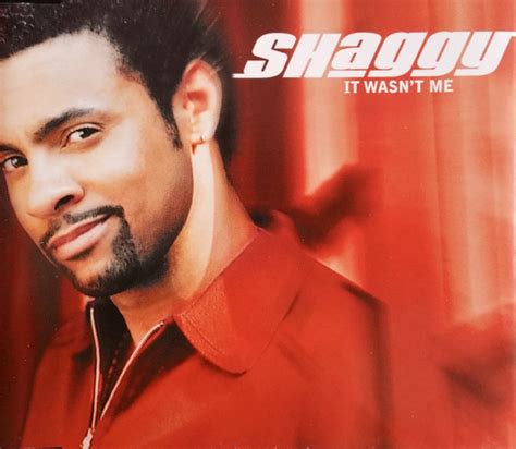 Shaggy – It Wasn't Me (2000, CD) - Discogs