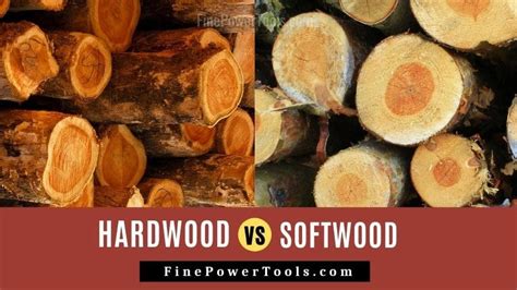 Hardwood vs. Softwood. Differences and Uses