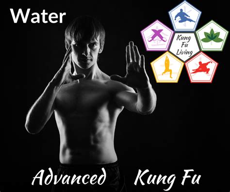 Kung Fu Workout at Home - Water Module - Kung Fu Living