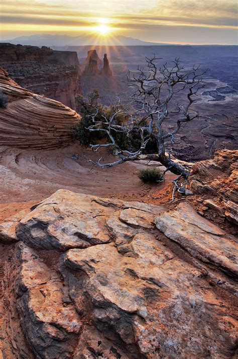 Canyonlands Sunrise Landscape With Dry Photograph by Rezus - Fine Art ...