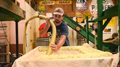 Despite 'exceptional' Michigan apple crop, gallon of cider reaches ...