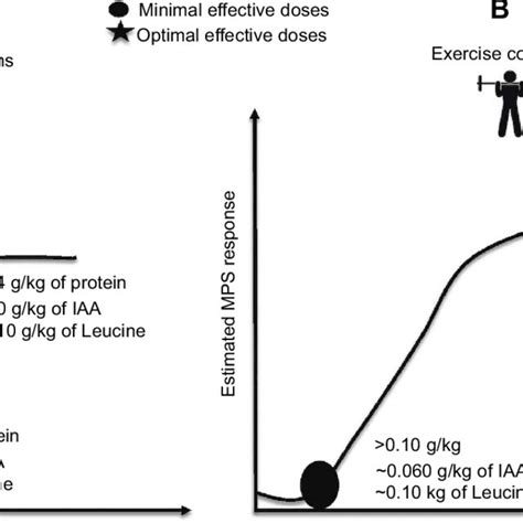 (PDF) Whey protein supplementation and muscle mass: current perspectives