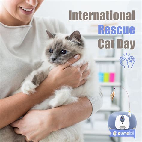 March 2nd International Rescue Cat Day