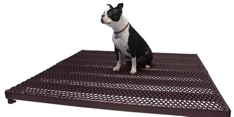 Best Long-Lasting Dog Kennel Flooring | RACS