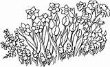 Flowerbed coloring pages To Download And Print For Free sketch template