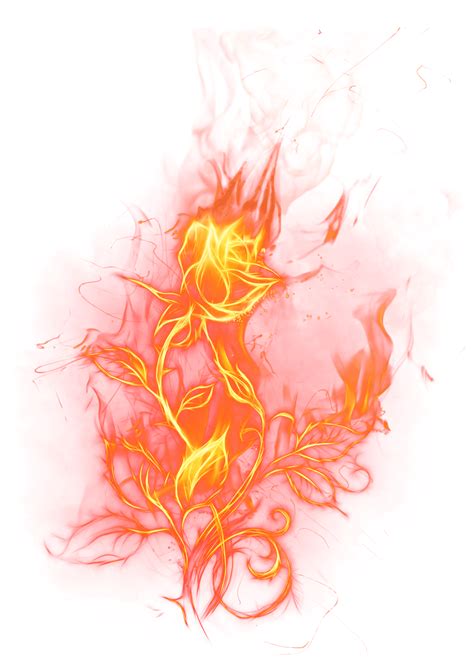 Kinds Of Power Ups Fire Flower Transparent Png