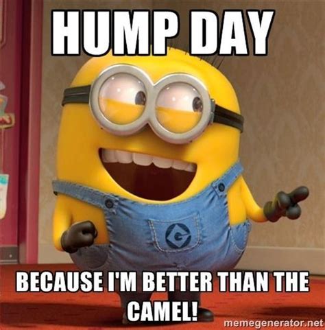 Happy Hump Day Meme and Funny Pictures