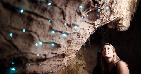 Waitomo Glowworm Caves Guided Tour - RTW Backpackers