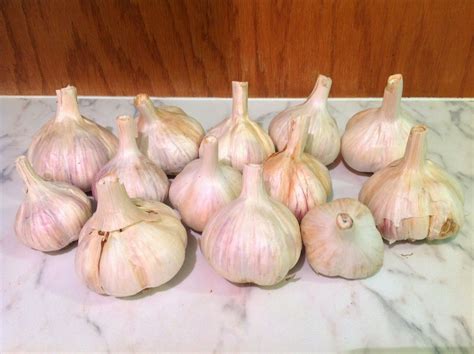 An Organic Wife: How to Preserve Garlic | Canning food preservation ...