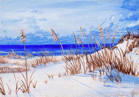 Sea Oats on the Beach Painting by Matt Starr - Fine Art America