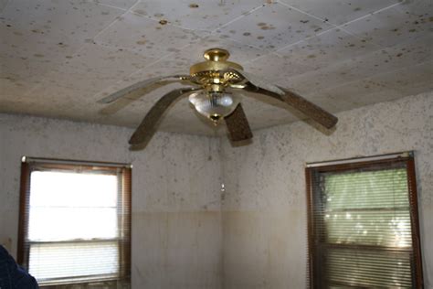 Flooded cieling fan | Ceiling fan in a flooded home. Carl Pe… | carlpenergy | Flickr