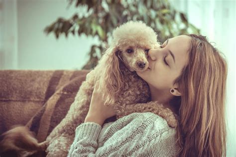 Many women prefer being with their dog over any person in their life, survey finds