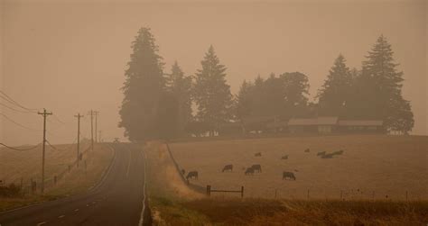 Oregon Wildfires Aftermath Captured In Photos