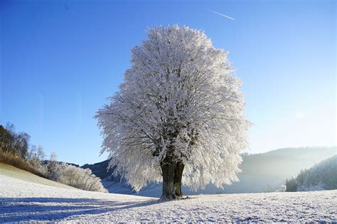 SOLITARY: Synonyms and Related Words. What is Another Word for SOLITARY ...