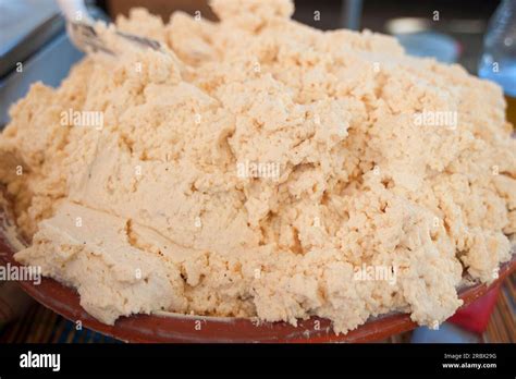 Casu Marzu, traditional Sardinian sheep milk cheese that contains live insect larvae (maggots ...