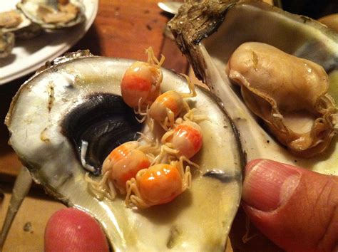 Oyster Pea Crab from Delaware on November 30, 2013 by Julia and Bryan ...