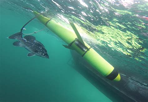 Dramatic footage of the Royal Navy's Unmanned Warrior held off the west coast of Scotland ...