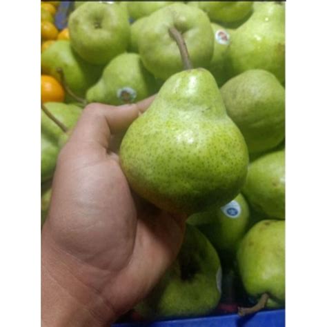 Jual BUAH PIR HIJAU GREEN PEAR IMPORT SEGAR KUALITAS PREMIUM HARGA UNTUK PER KILO 1 KG | Shopee ...