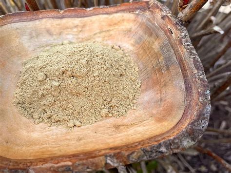 Muira Puama Powder: Benefits And Uses Of The Potent Bark And Root Product