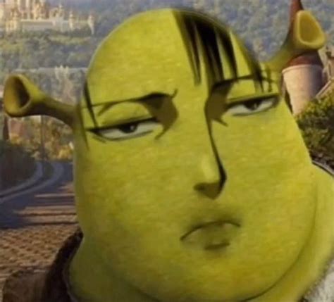 Shrek levi | Funny anime pics, Anime memes funny, Anime funny