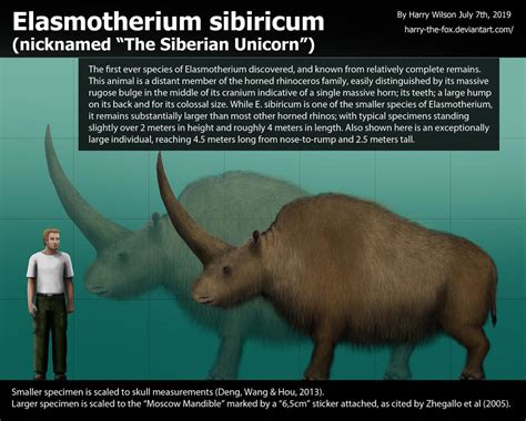 Elasmotherium sibiricum Size by Harry-the-Fox on DeviantArt