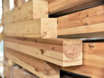 What is Beech Wood? 5 Interesting Facts You Should Know