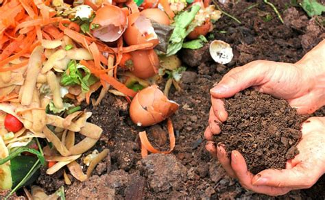 Cara Membuat Tanah Kompos dari Bahan Sampah Organik