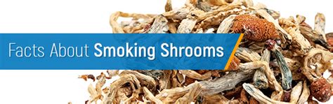 Smoking Shrooms: How to Do It and What Are the Effects