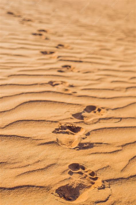 Premium Photo | Footprints in the sand in the red desert at sunrise.